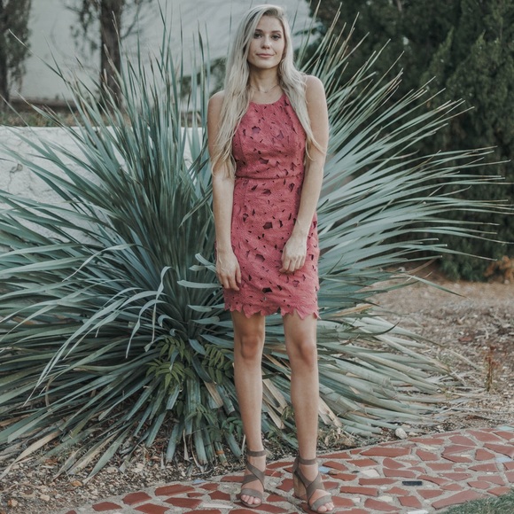 Wyld Poppy Dresses & Skirts - Tea Party Lace Dress